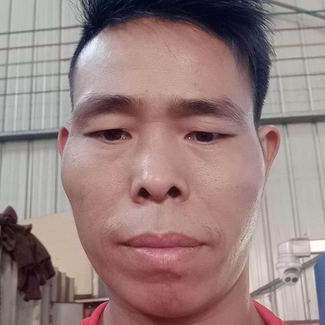 小蜜蜂停止糟糕的照片