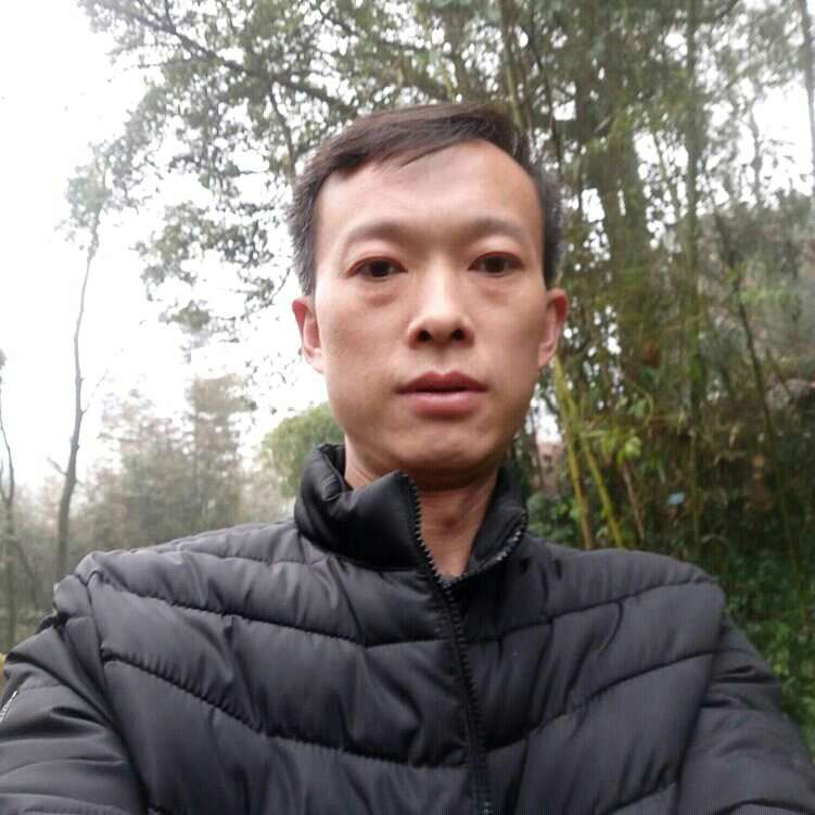 流浪的？的照片