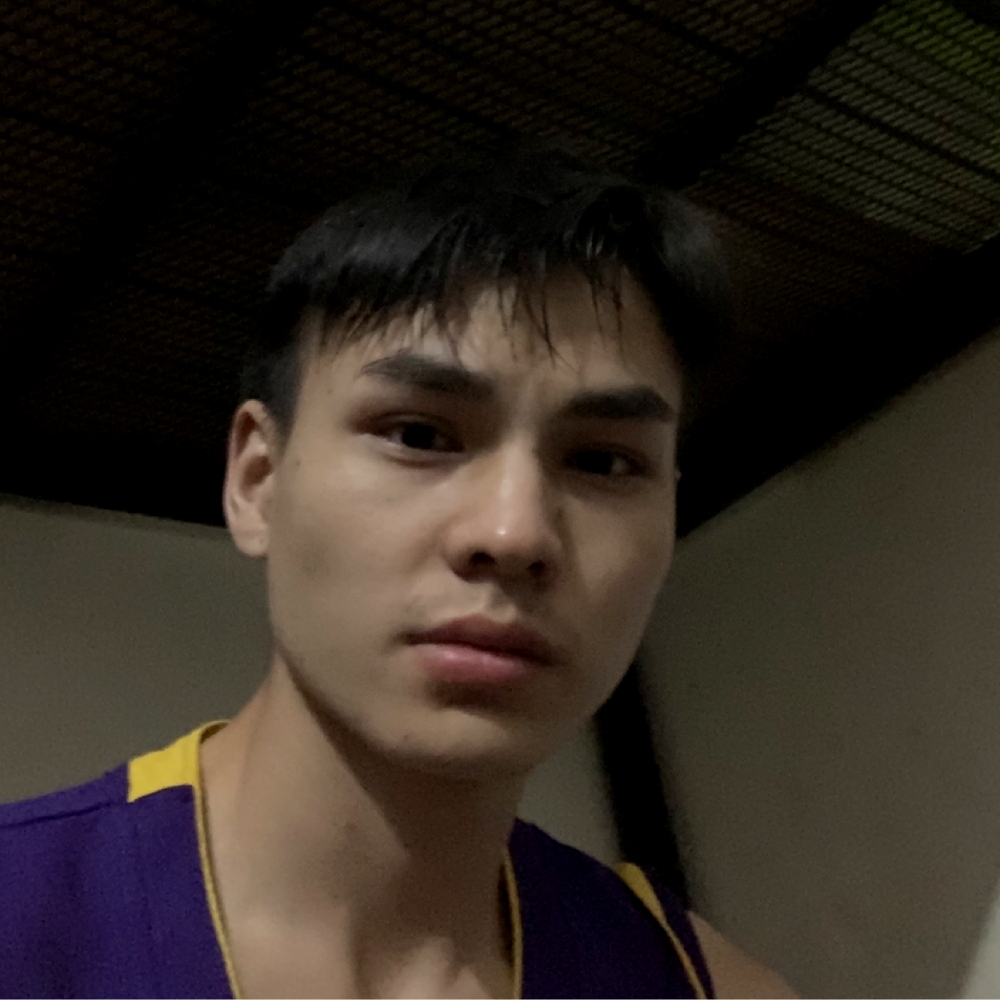 羊的缥缈的照片