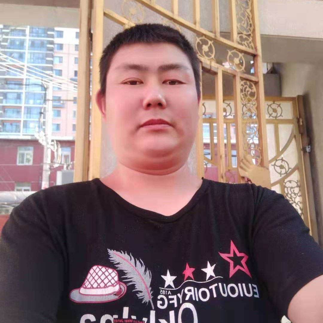 灰狼笑忧伤的照片