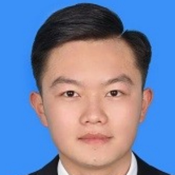 小海豚饱满的照片
