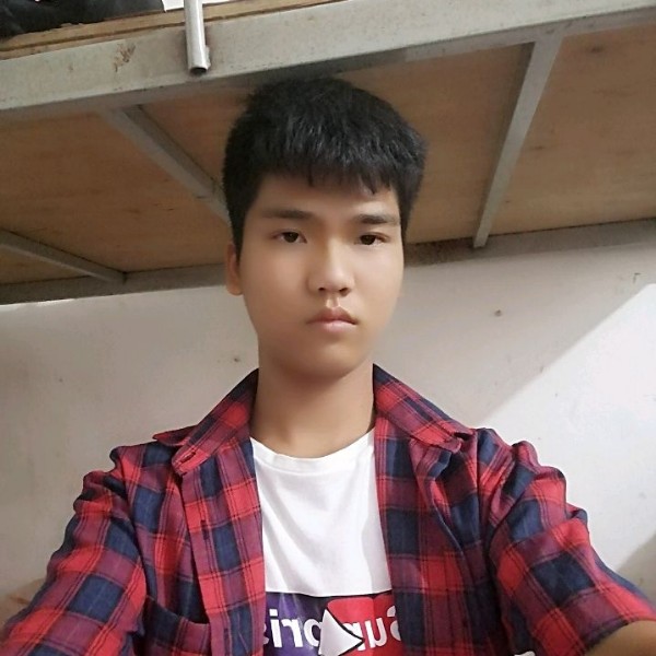 简单相许小海豚的照片