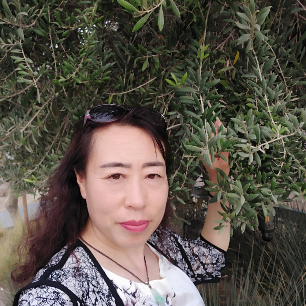 日晨的照片
