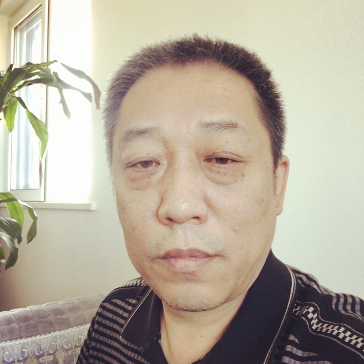 紧张保卫海燕的照片