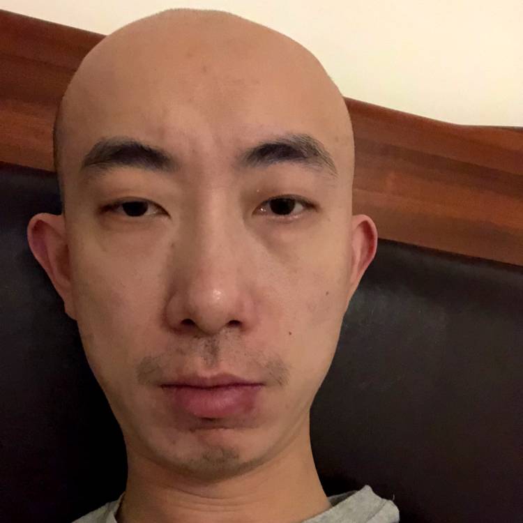 杂斑灰猫的照片