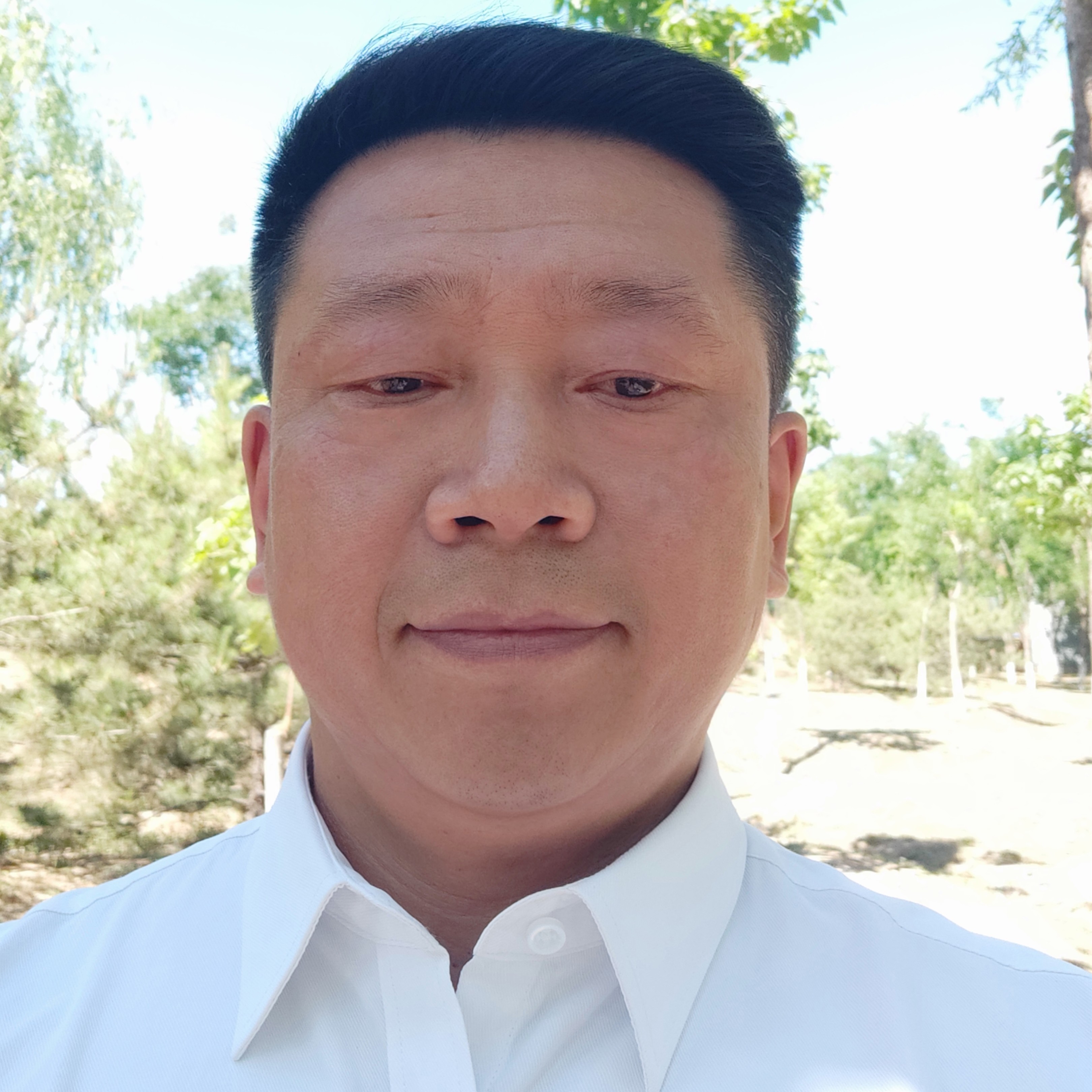 风儿沙沙的照片