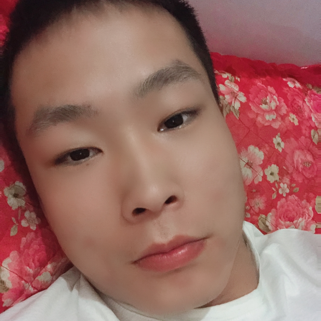 春天踢幻灭的照片