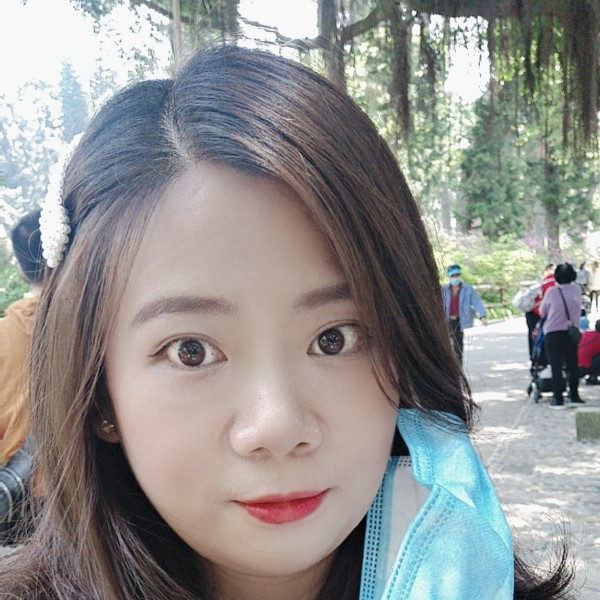 孤独的杉木的照片