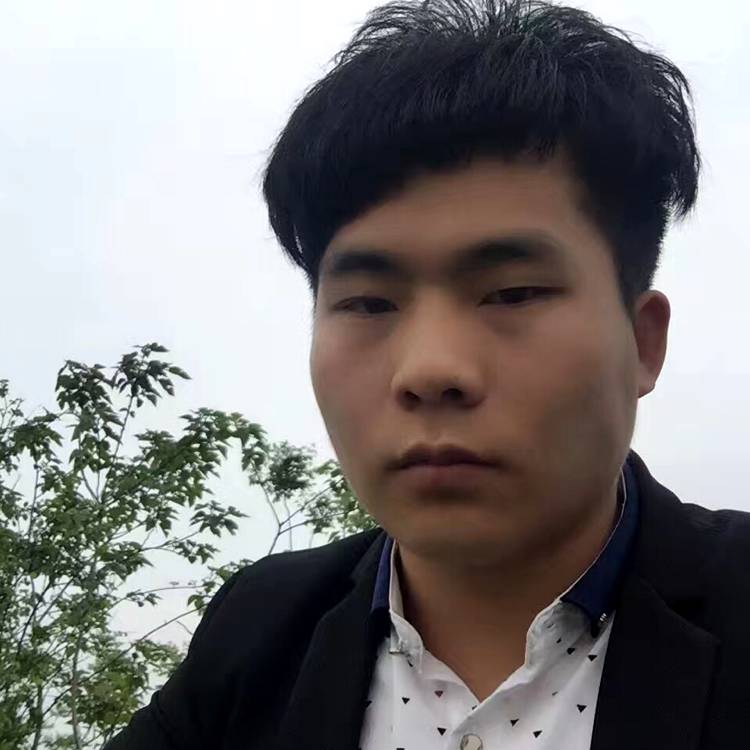 黑 凤梨的照片