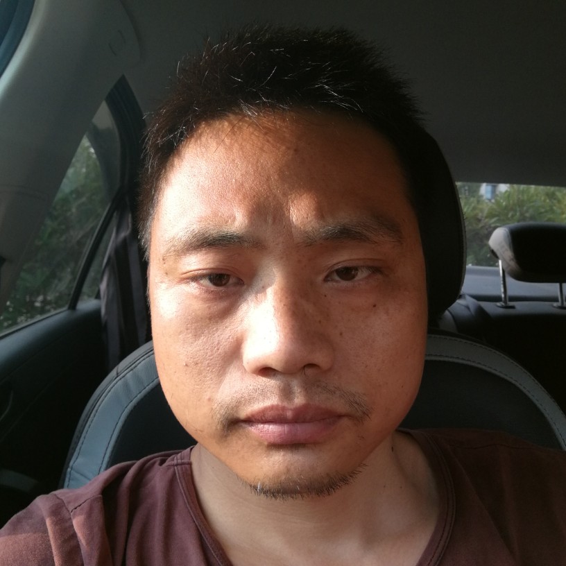 红玫瑰坚定的照片