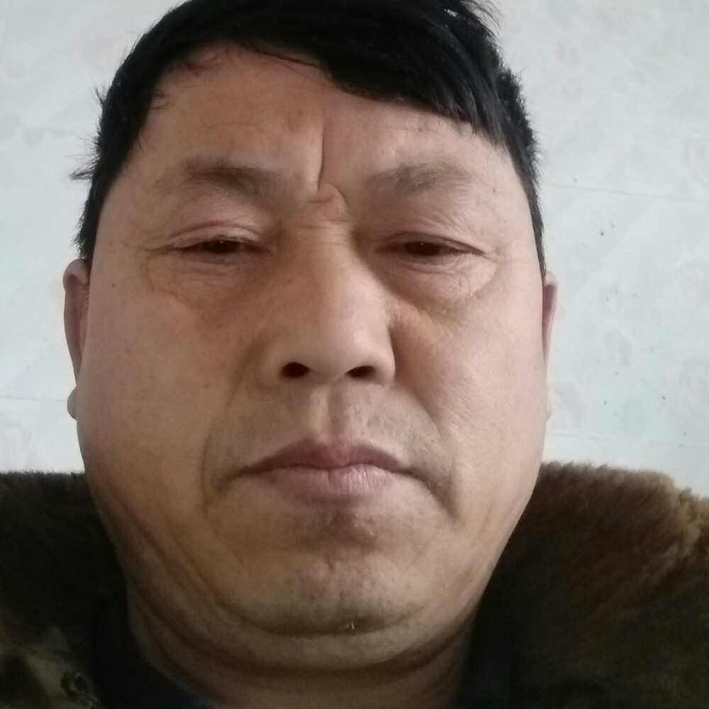寻觅佳偶的照片
