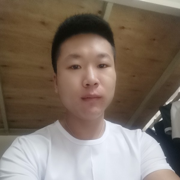 机器猫的聪慧的照片