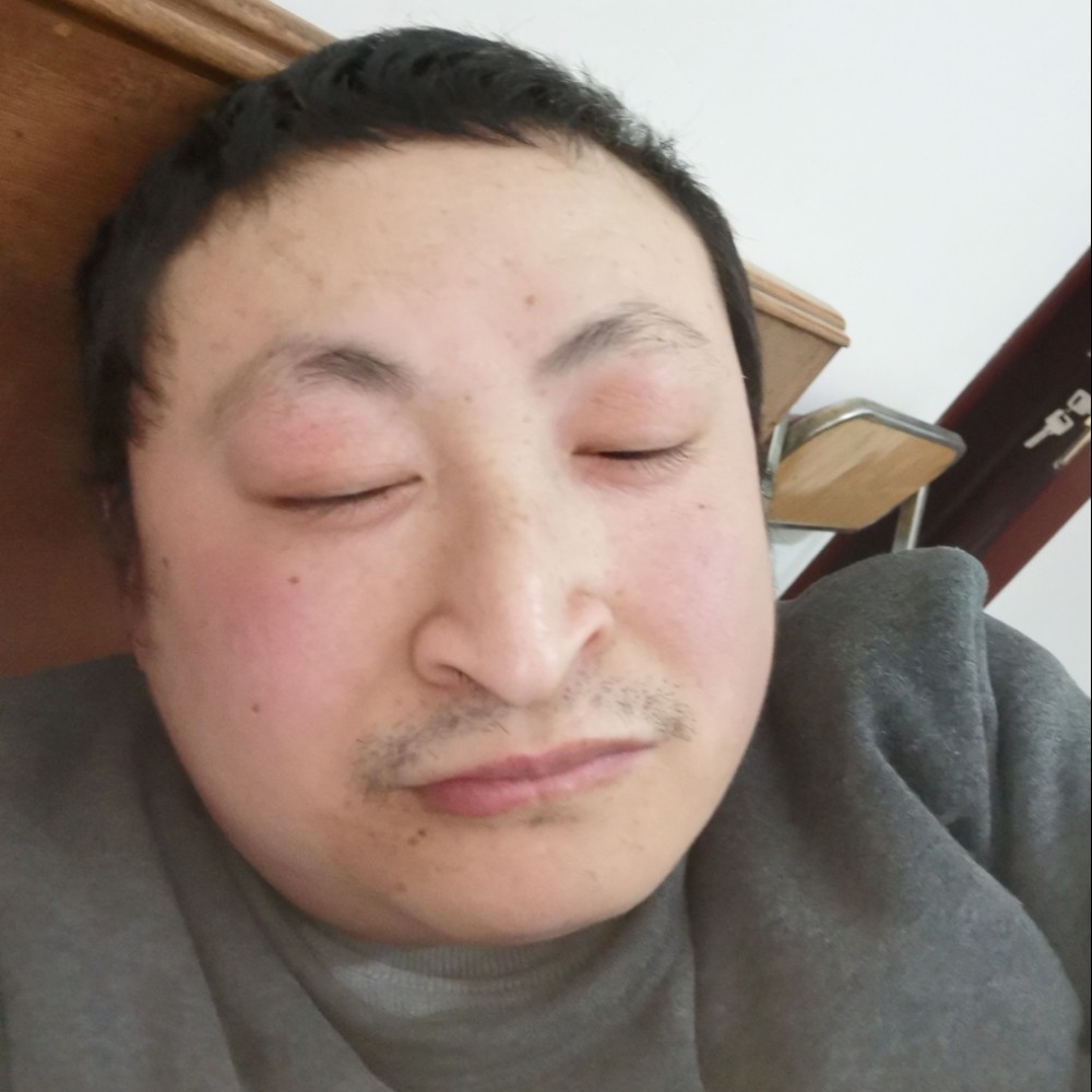 喜悦回眸斑马的照片
