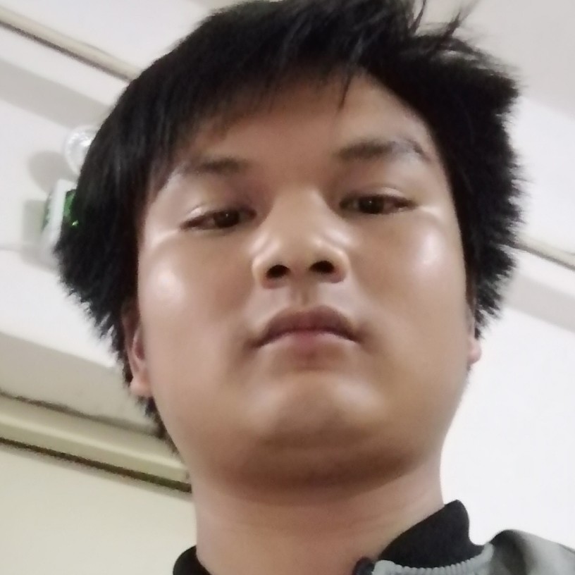 刺猬的生动的照片