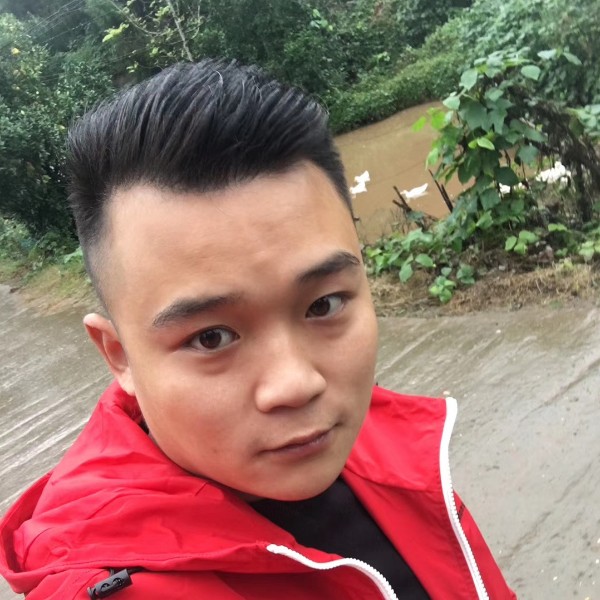 黑猫壮观的照片