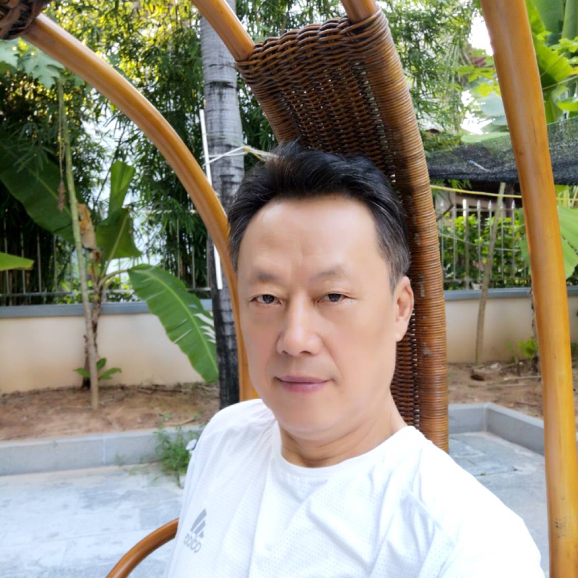 新的阳光的照片