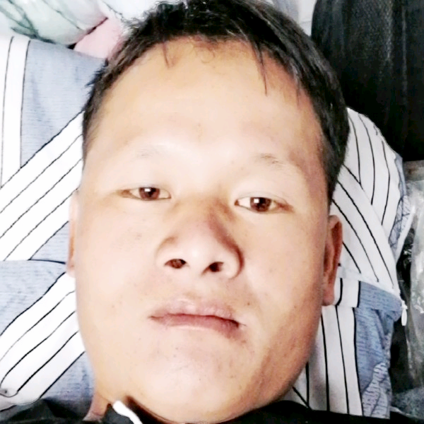 羊与无辜的照片