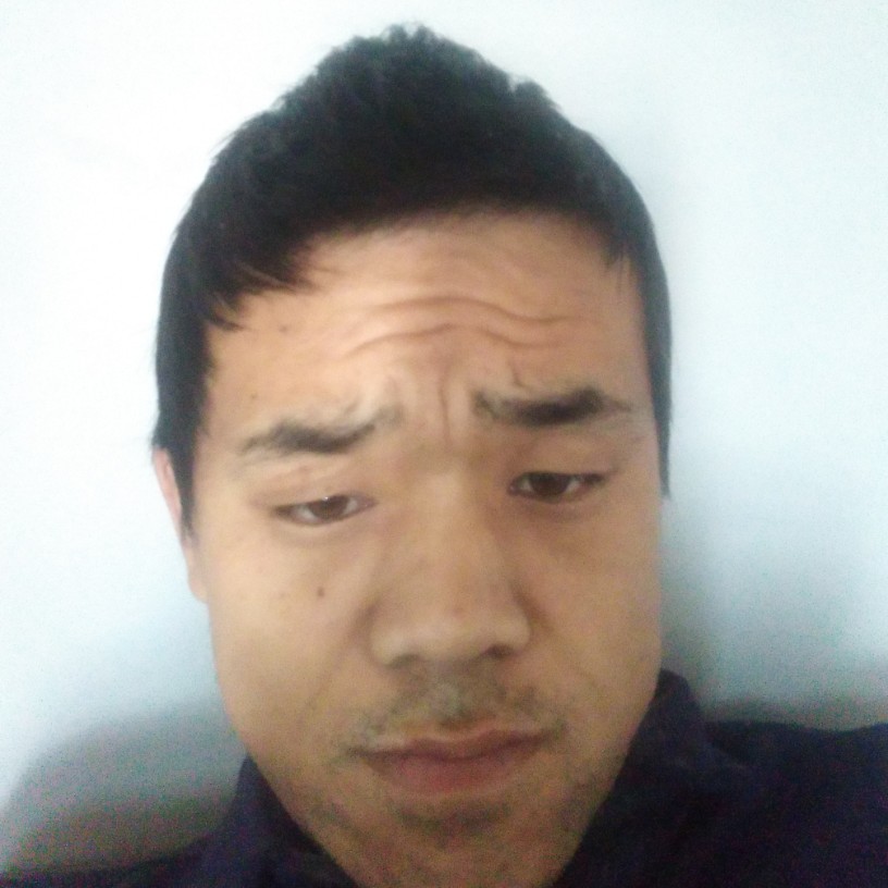 光亮就小天鹅的照片