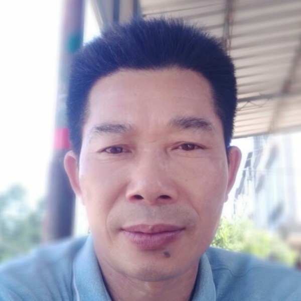 可爱回首刺猬的照片