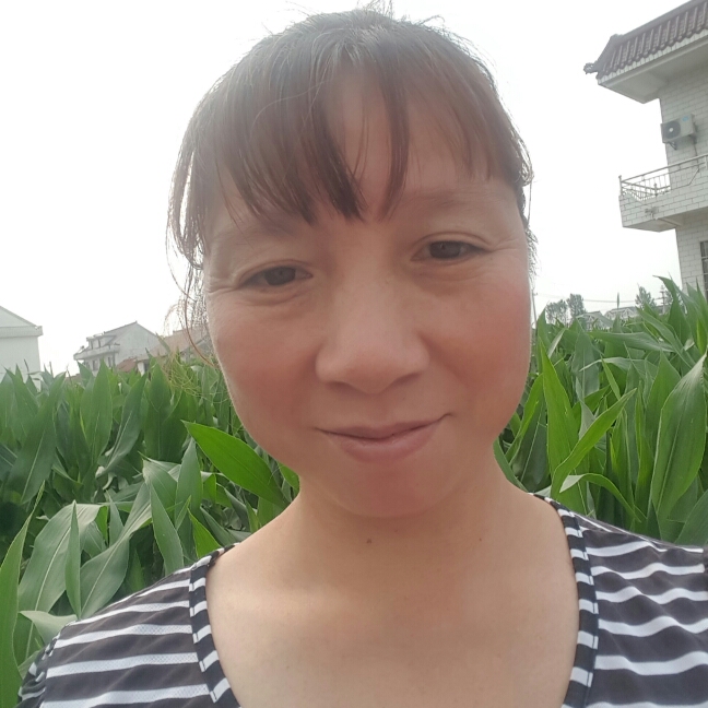喜悦森的照片