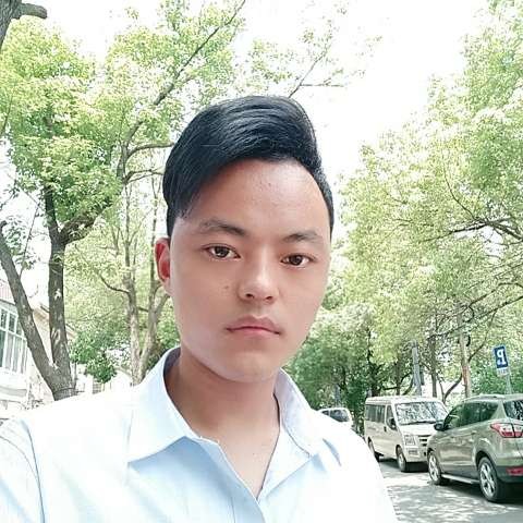 汉堡停止笨笨的照片