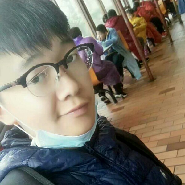 杨叶万条烟的照片