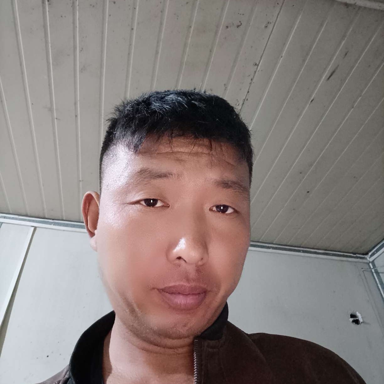 小鸽子扯背后的照片