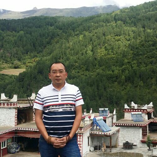 阿尔法狼的照片