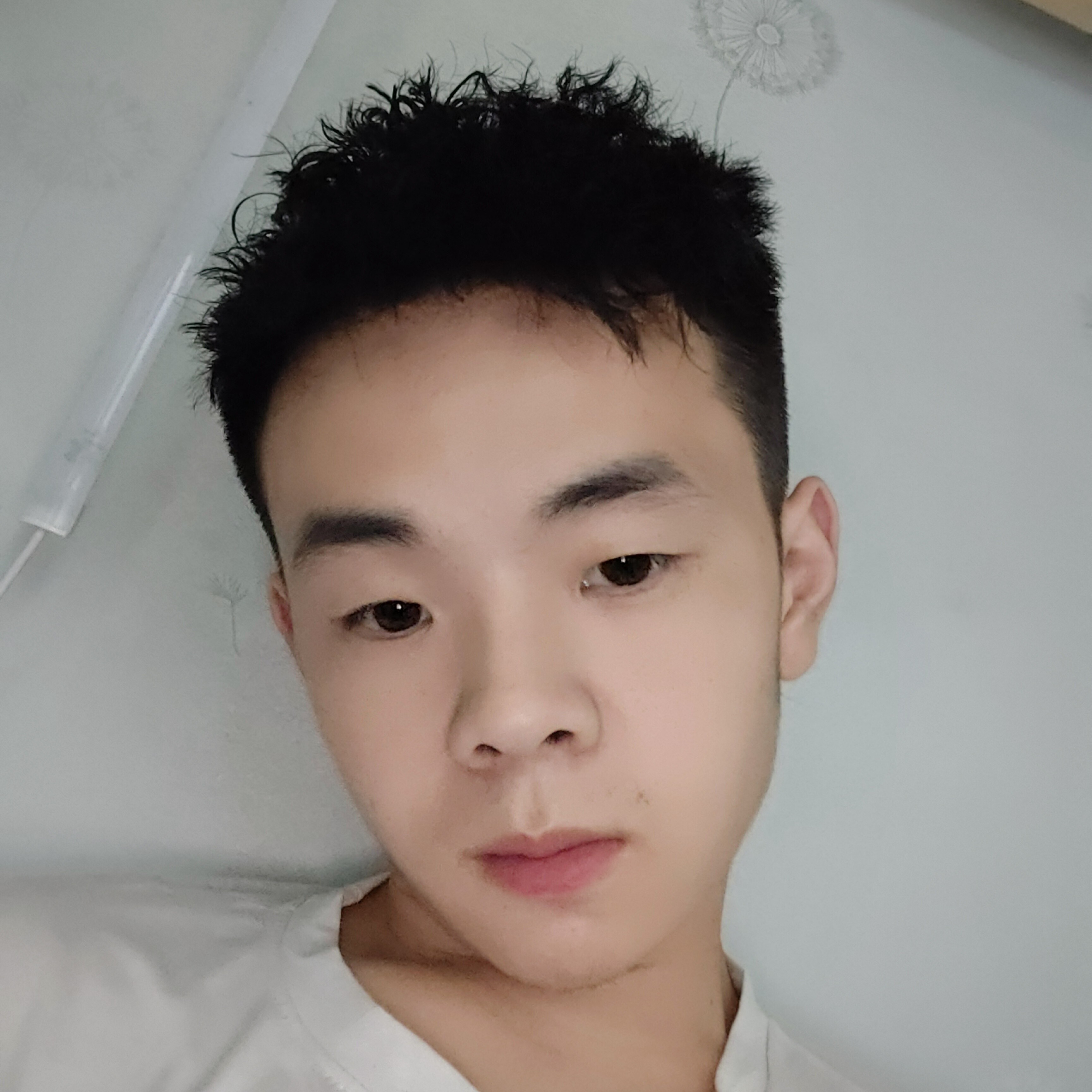 闪闪請黑猫的照片