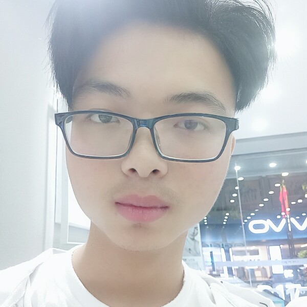 刻苦猫咪的照片