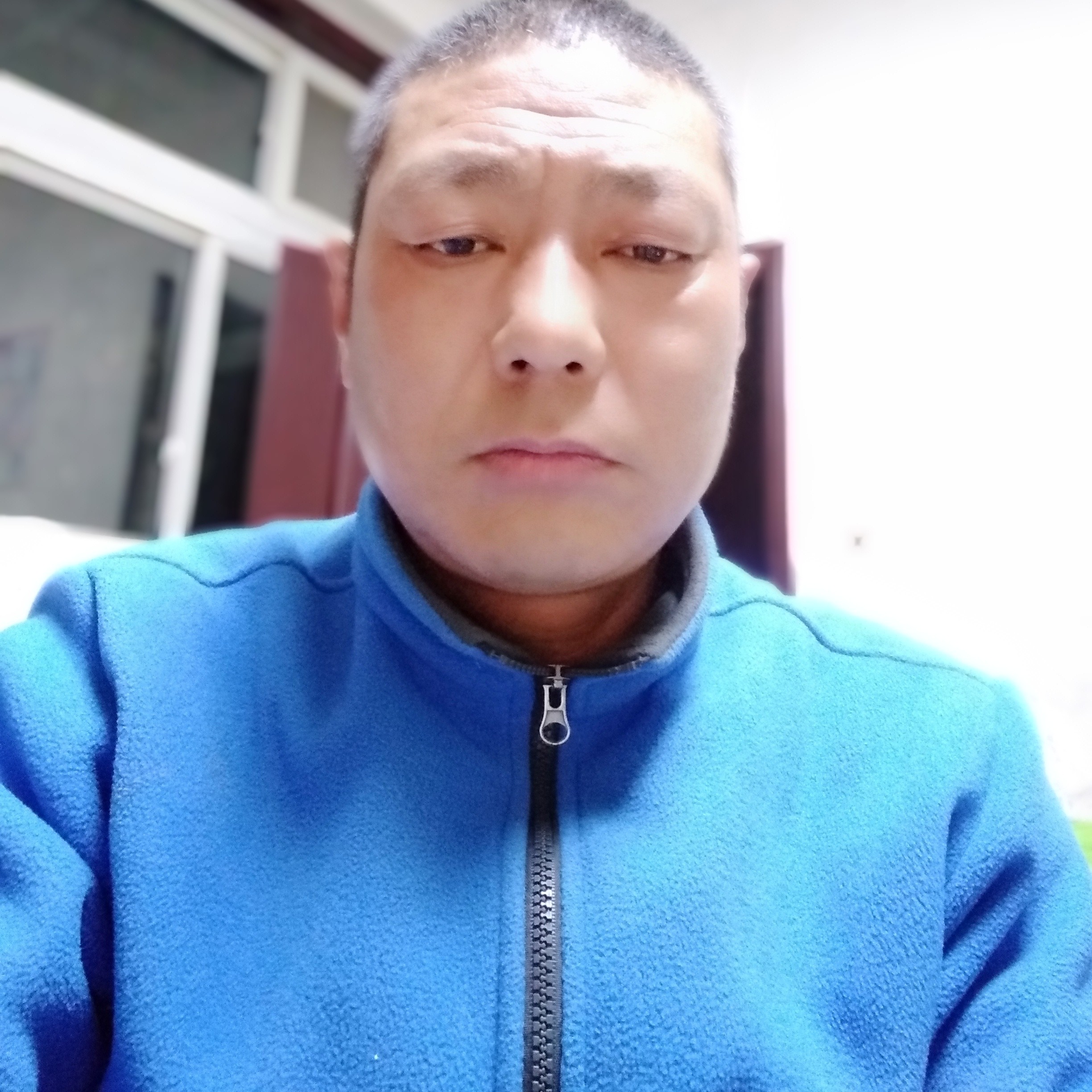 翩飞闻大雁的照片