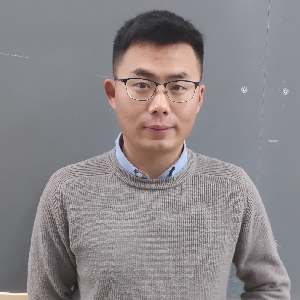 阳光枫叶1的照片
