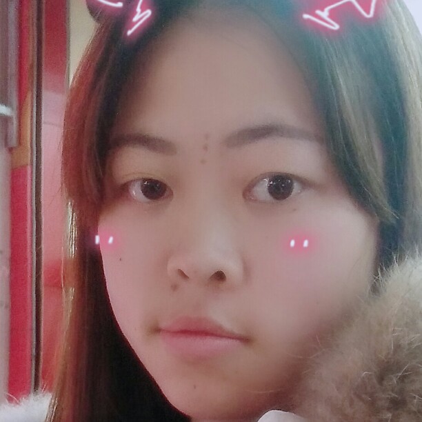 靓丽南鸢的照片