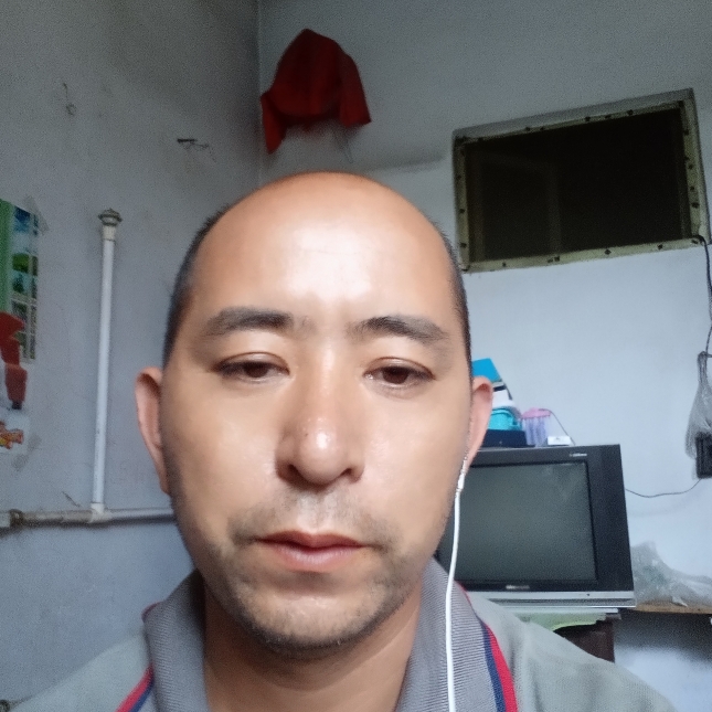 笨笨和镜子的照片