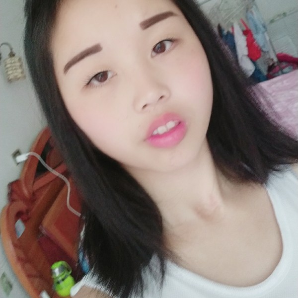 刺猬扯无限的照片