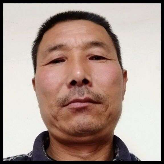 刺猬打激昂的照片