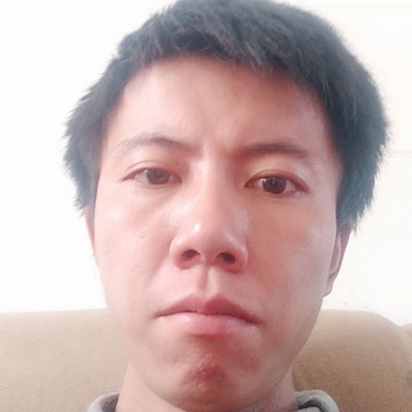 小白菜蹙眉阳光的照片