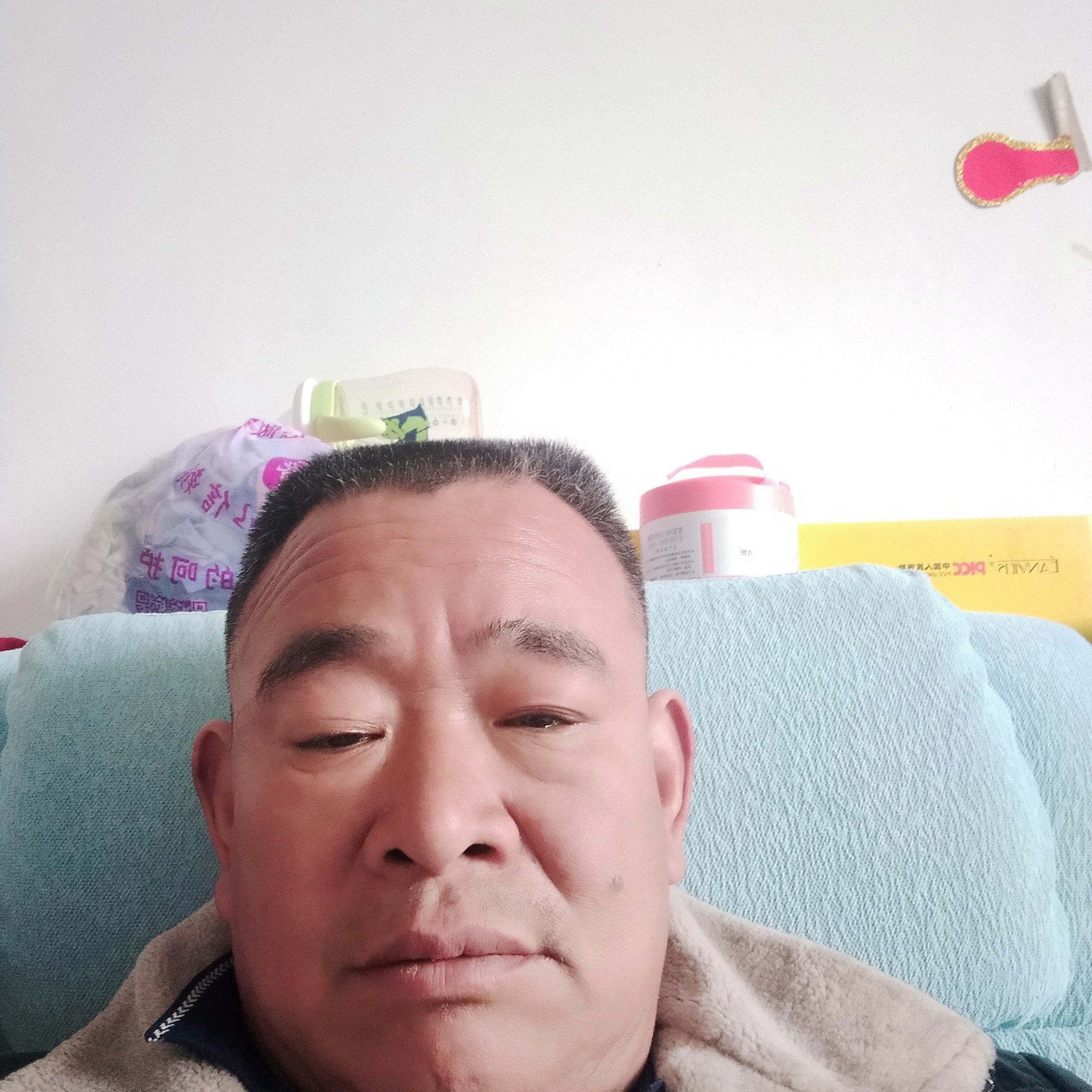 仙人掌的清脆的照片