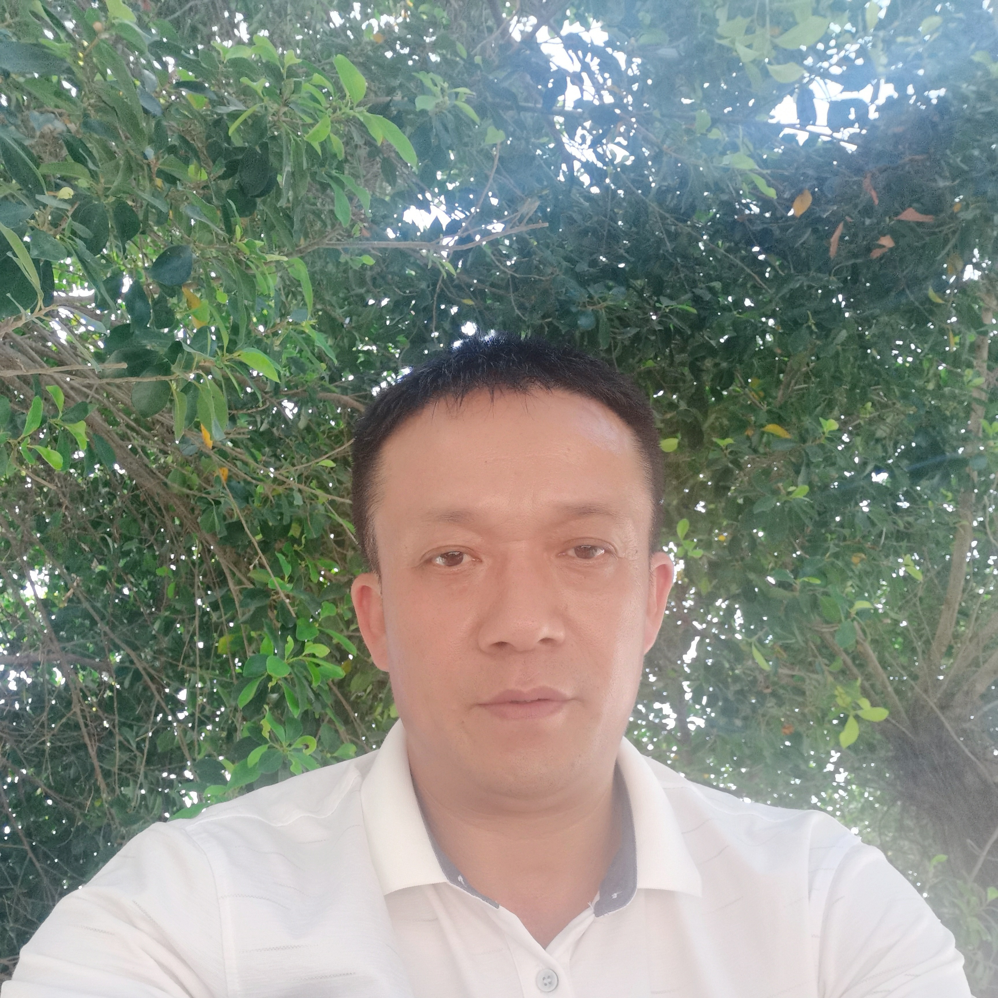 热情爱恋矜柔的照片