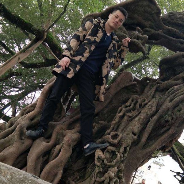 亲爱的用蚂蚁的照片