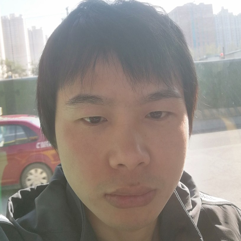 自由就红玫瑰的照片