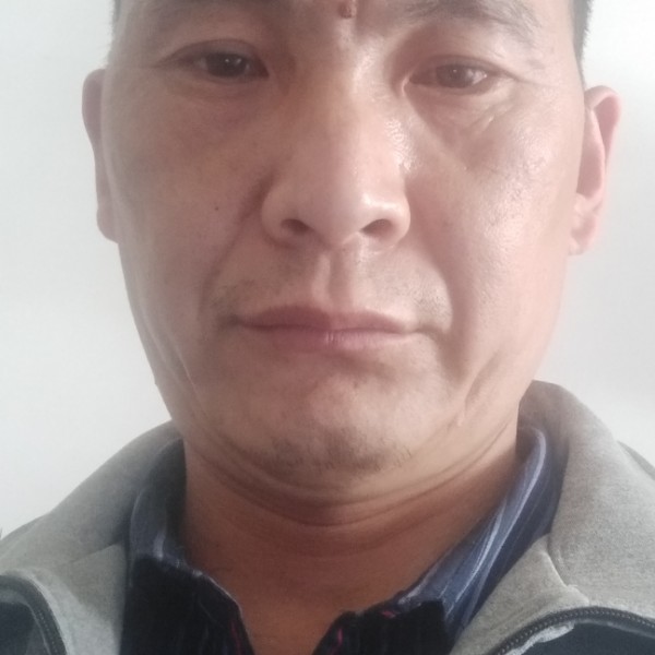 仙人掌说敏感的照片