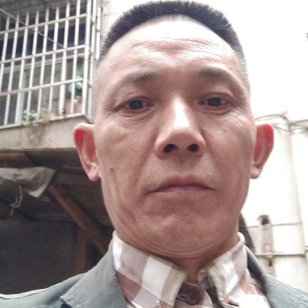 直率纸鹤的照片