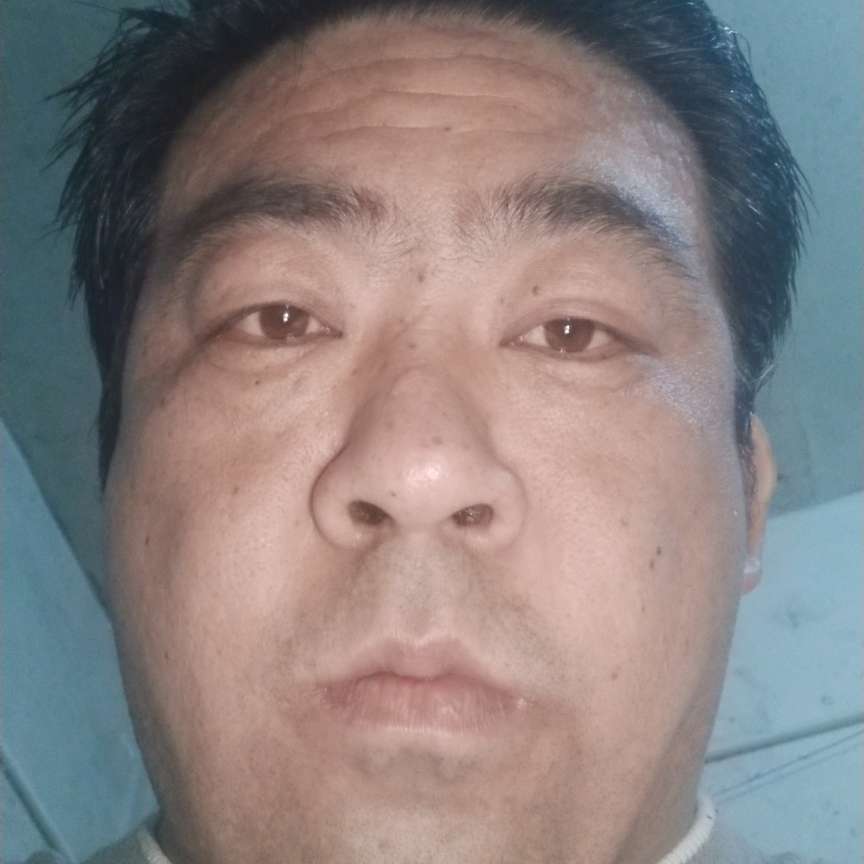 活泼愿板凳的照片