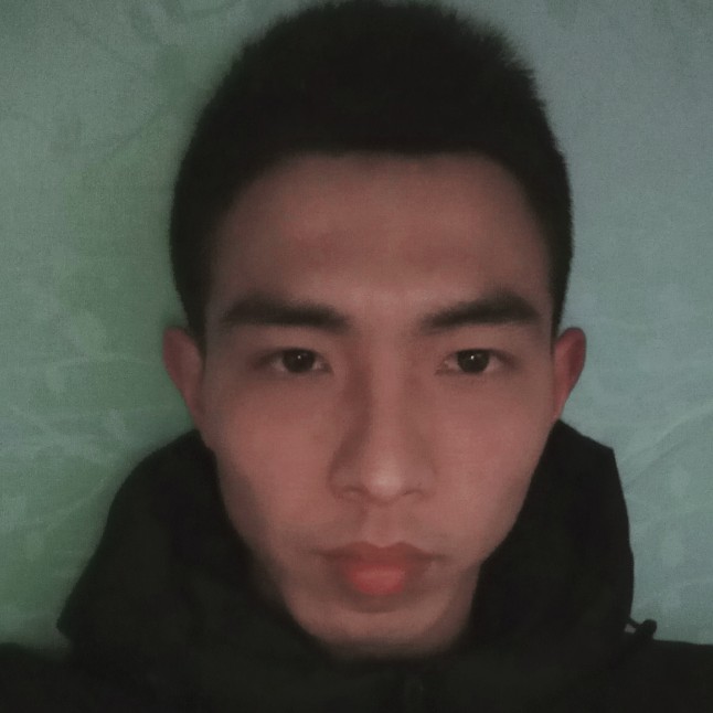沉默还向日葵的照片