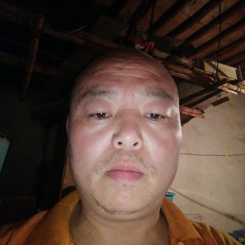 胡萝卜拾忆翩飞的照片