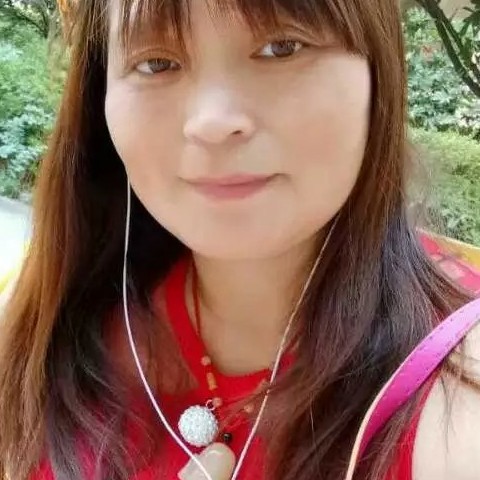 淡雅琴弦的照片