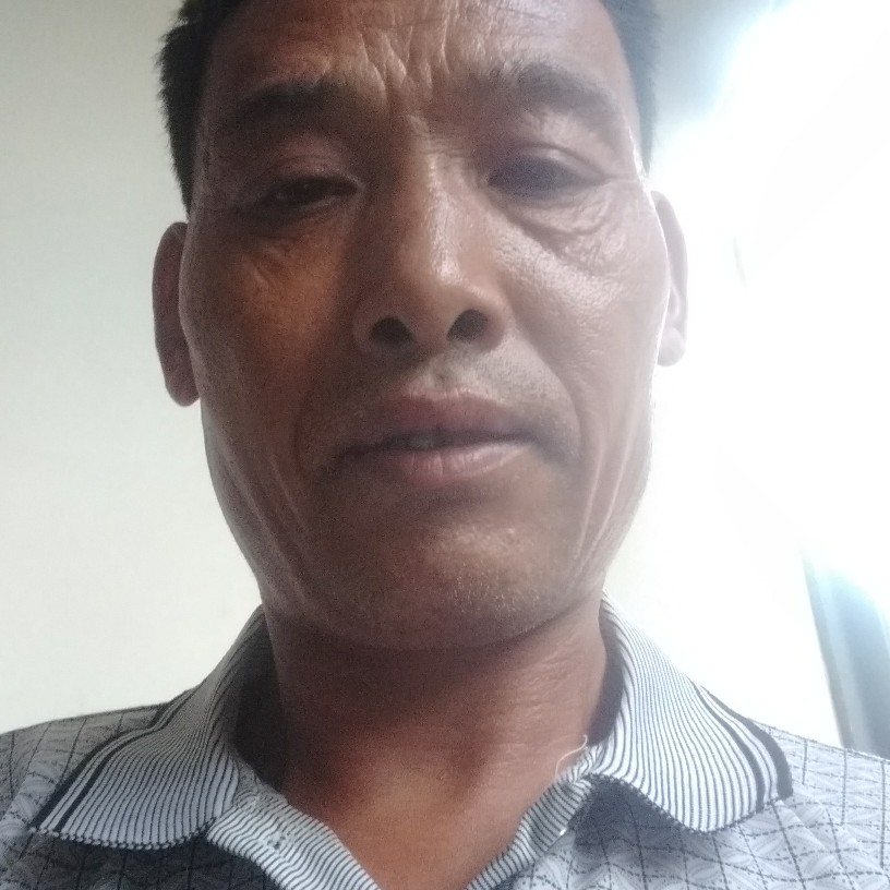 细心小海豚的照片