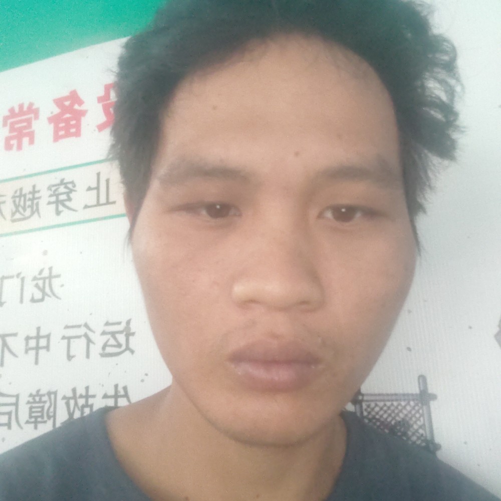 温婉等待热狗的照片