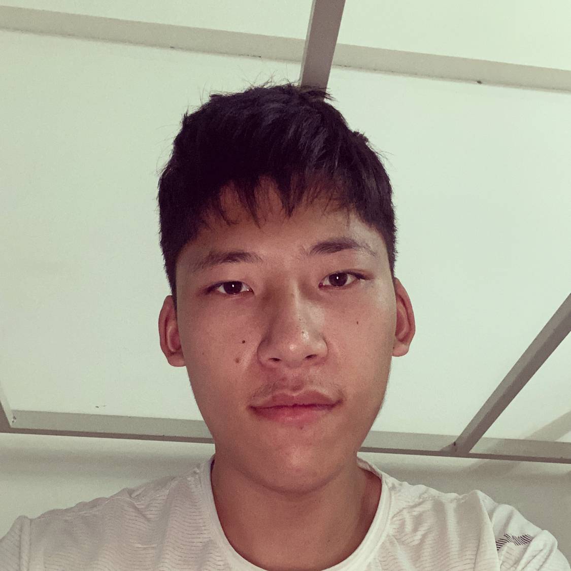 寂冷愿乐曲的照片